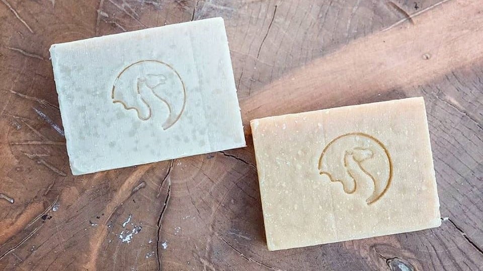 Getting the hump: UAE cosmetics firm looking to Asia for camel soap growth