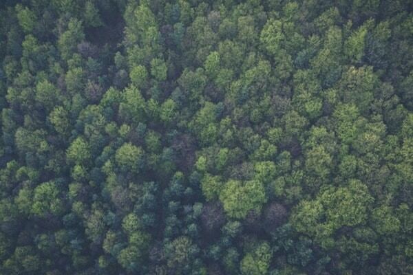 Two birds, one biopolymer: Pola Orbis innovation for cosmetic ingredient and eco-friendly packaging
