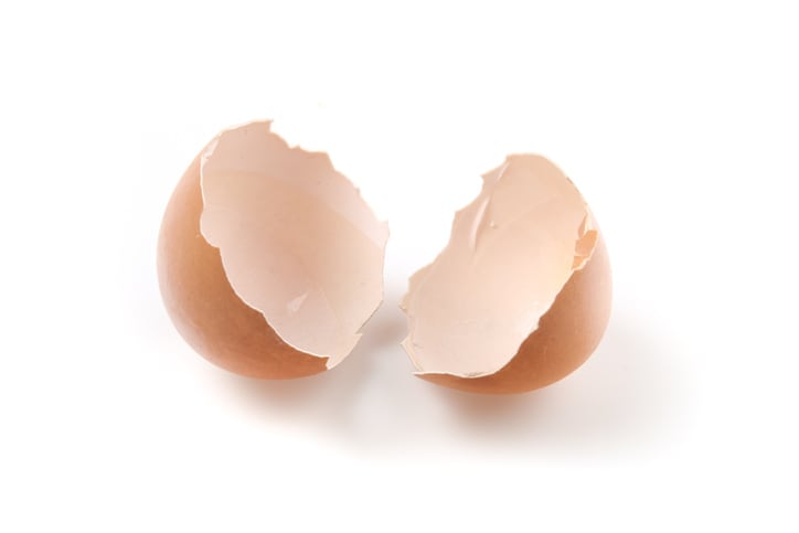 Cracking collagen: Kewpie’s new egg-based cosmetic ingredient promises to turn back time