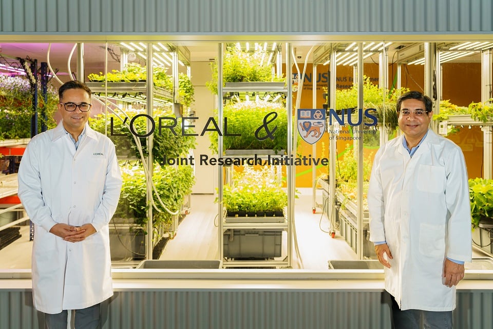 Skin science: Latest stories on cosmetics science and formulation