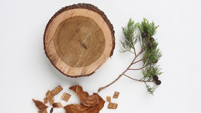 Base notes with benefits: Down Under expands wood oils portfolio to meet APAC consumer demands