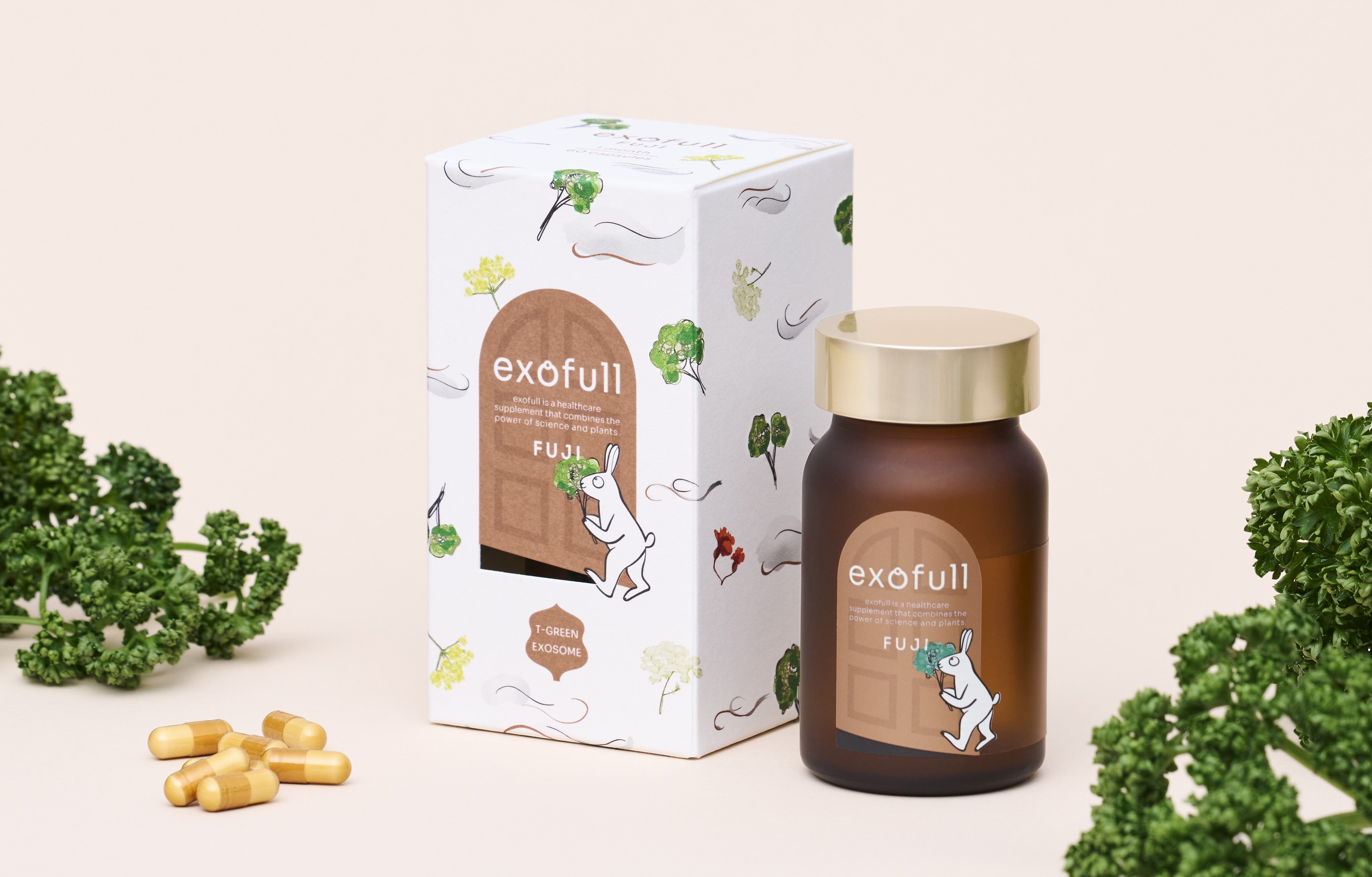 Japanese start-up debuts ageing-support supplement made from parsley-derived exosomes