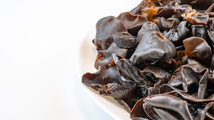 Blue sky thinking: Cloud ear mushroom extract offers skin hydration benefits – Thai research