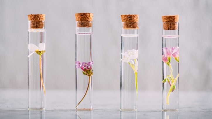 ICYMI: Every single How to win over… feature from CosmeticsDesign-Asia in 2023