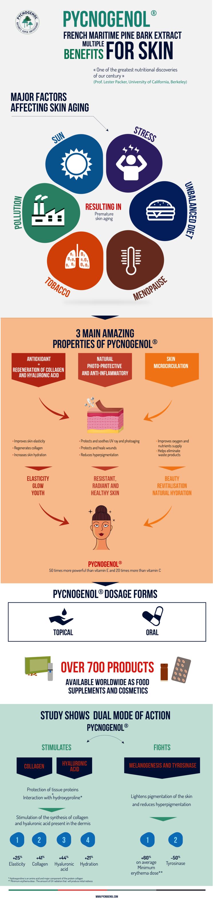 Pycnogenol-R-Offers-Dual-Mode-of-Action-for-Skin.png