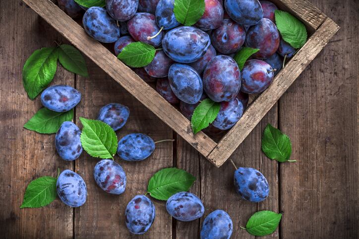 Plum-kernel-oil-a-sustainable-plant-based-choice-for-beauty-and-personal-care-says-Kerfoot.jpg