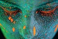 The skin microbiome and beauty: changing perceptions of bacteria