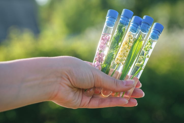 Plant-based-beauty-phytocosmetics-promise-with-extraction-delivery-and-certification-advances.jpg