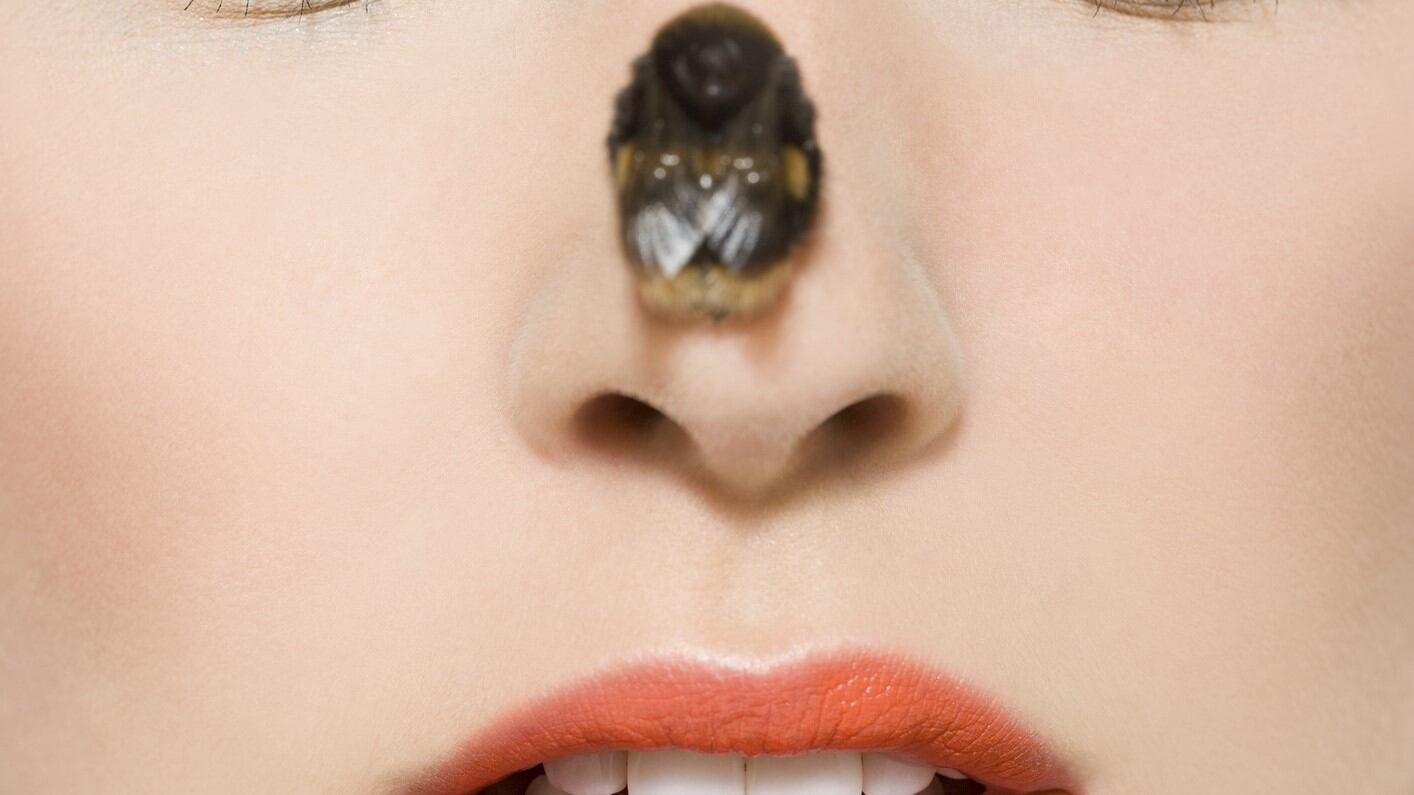 Could-more-cosmetics-be-formulated-from-insects-in-the-future.jpg