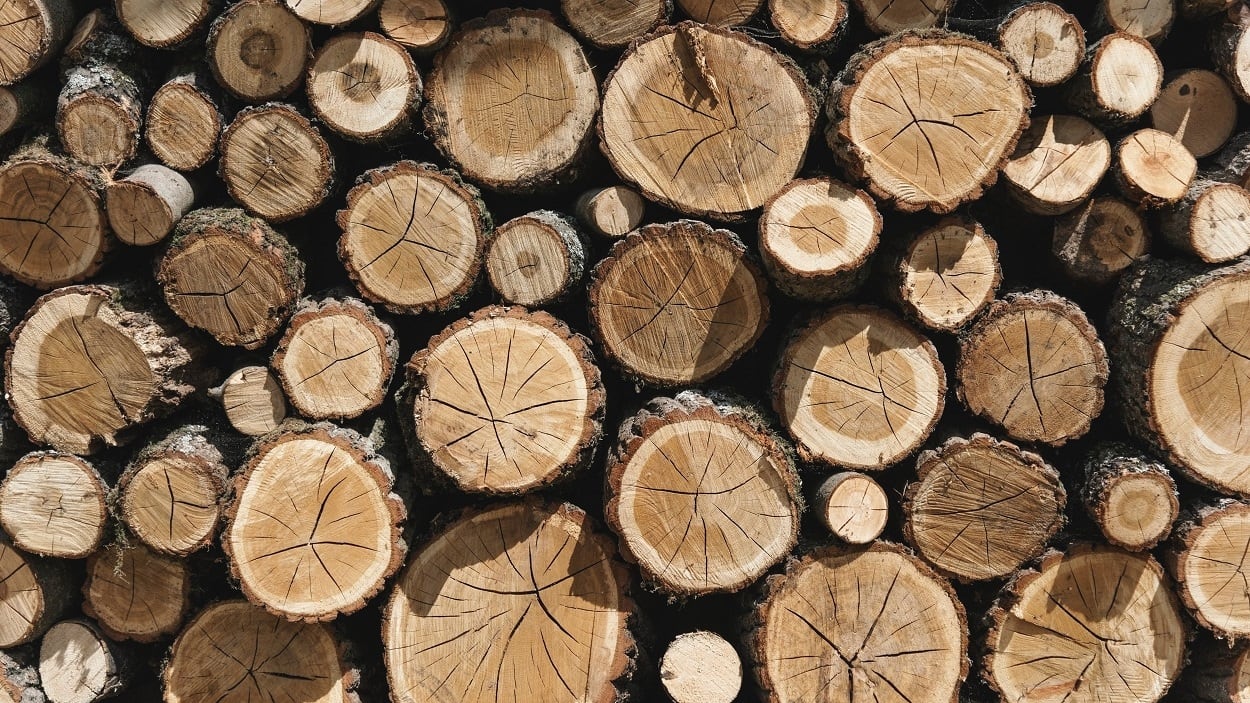 Securing sandalwood: Demand for sustainability and quality boosts Australia’s dominance