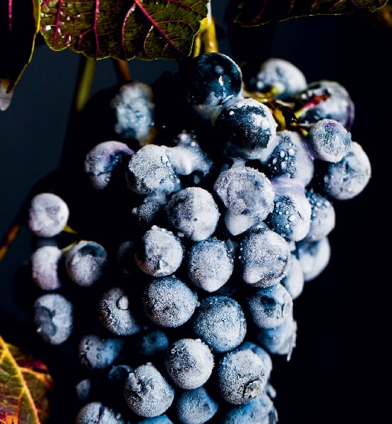 Ice-Wine.png