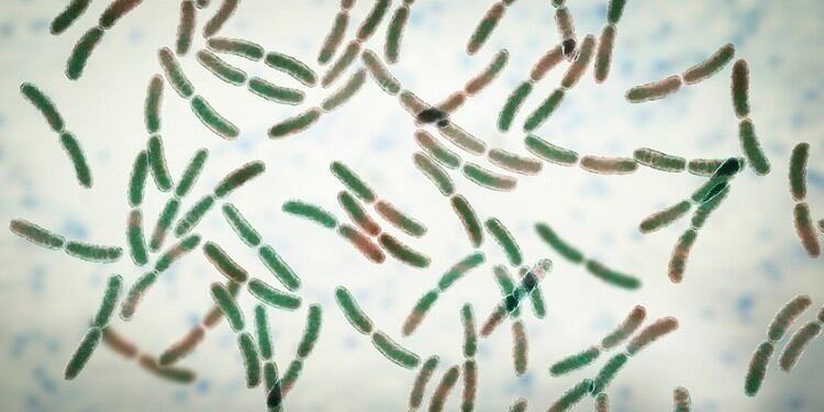 Microbiome in China: Cosmetic trend will ‘heat up’ by the end of 2020, says expert