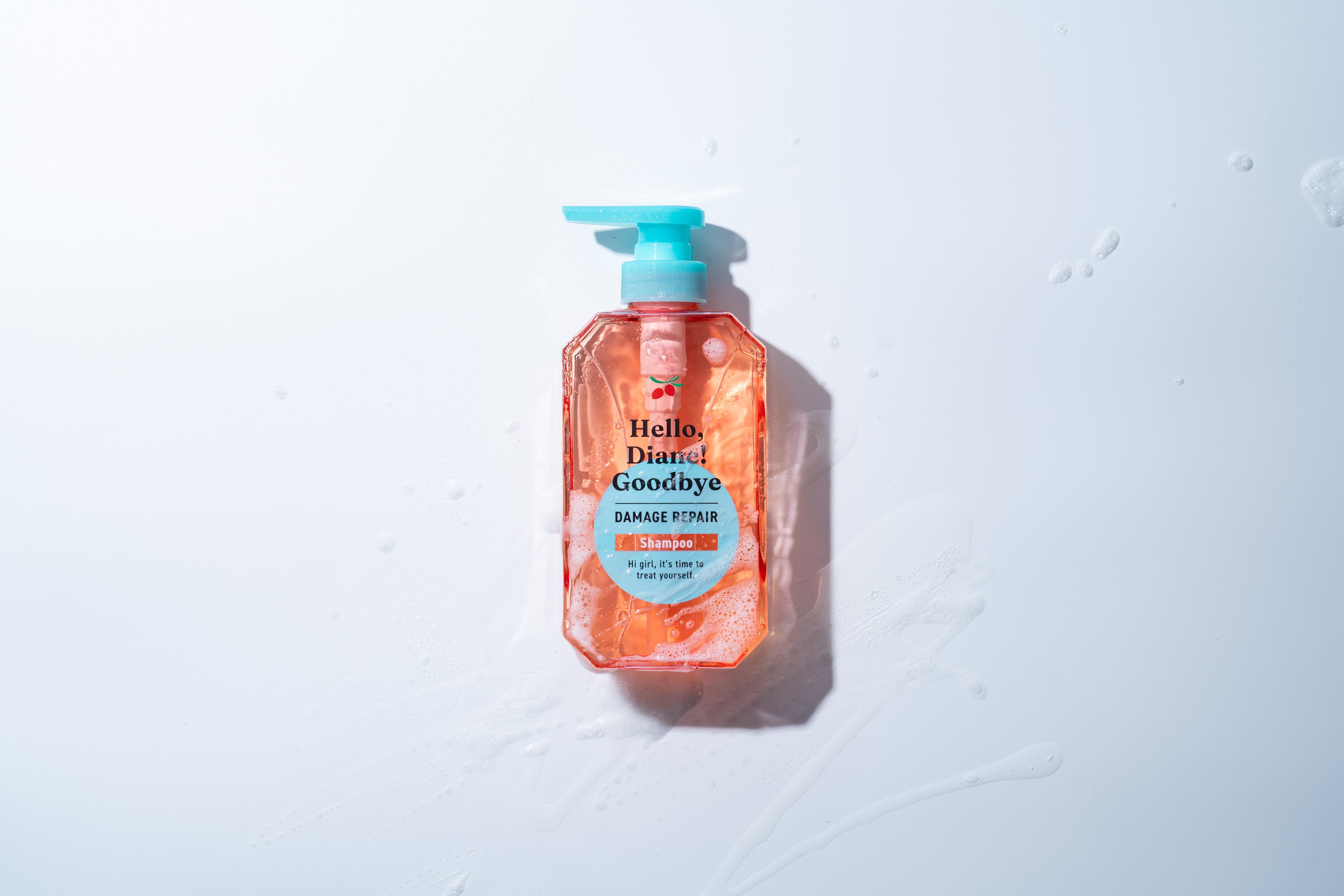 Hello, Diane! - Goodbye Damage