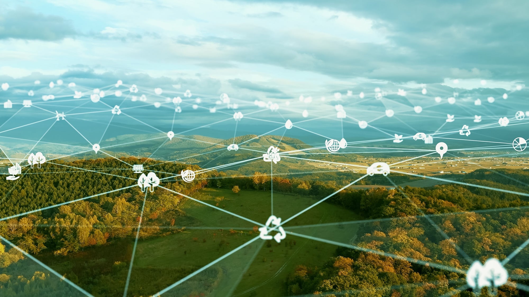 NIQ Report: Sustainability becoming 'increasingly important' to consumers