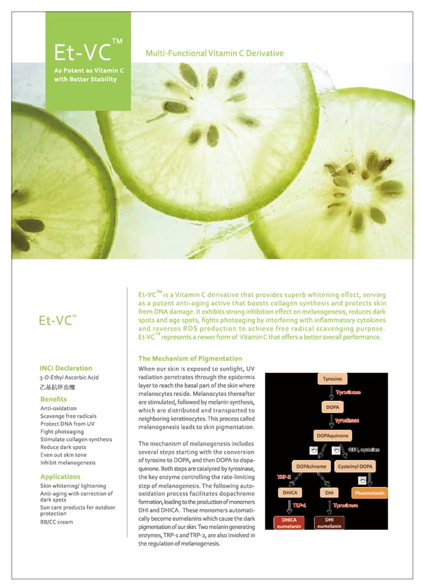 Corum-CS-Cosmeto-2015-Discover-Et-VC-s-Synergistic-Effect-in-Sun-Protection.png