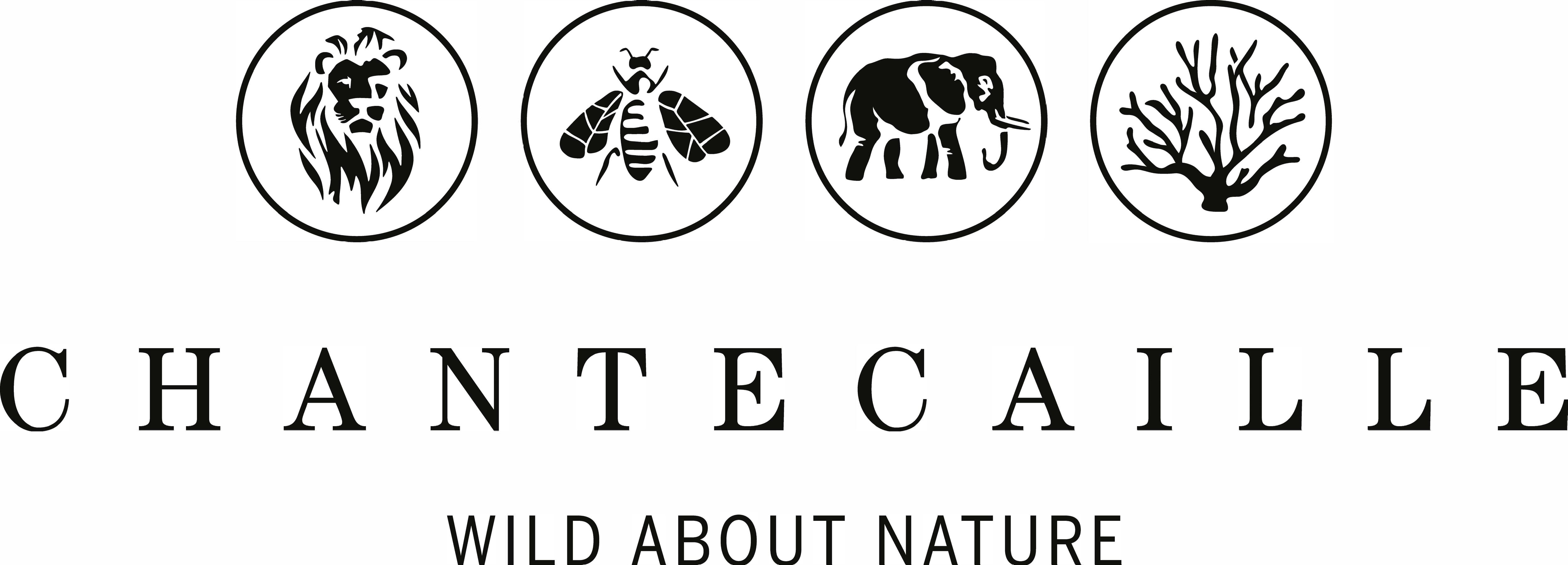 Chantecaille-boosts-China-expansion-plans-with-Tmall-deal.jpg