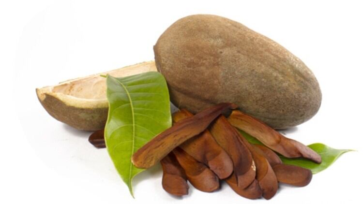 From furniture to face: Mahogany seeds have skin whitening, antioxidant properties for skincare – Review