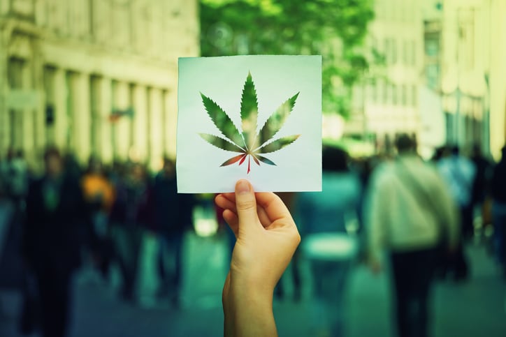 Cannabis_trends_Regulation_consumers_market_CBD-hemp.jpg