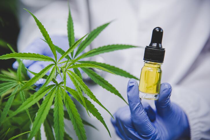 CBD cosmetics: Japan will be the 'single largest market' in Asia for the next decade