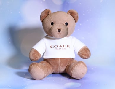 Teddy-bear.png