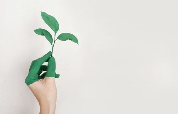 From nice-to-have to need-to-have: Experts say sustainability must be considered a ‘cost of doing business’