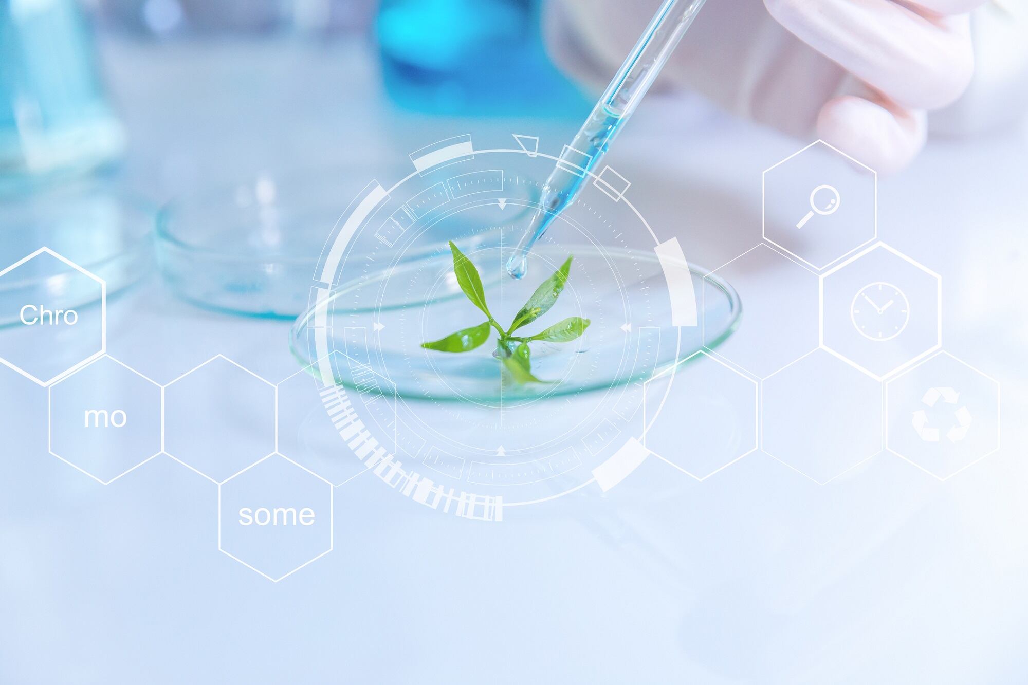 Orveon-Global-CSO-discusses-cleanical-beauty-trend-s-industry-impact.jpg