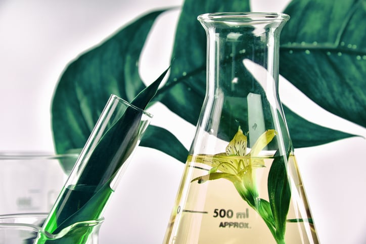 Clean Reserve: case study in sustainability and naturals in fragrance