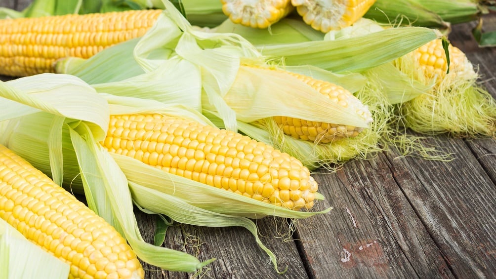 Glico going global with its corn starch glycogen for skin care products