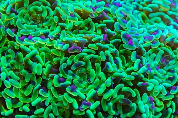 Highlights-from-our-dedicated-microbiome-skin-care-coverage.jpg