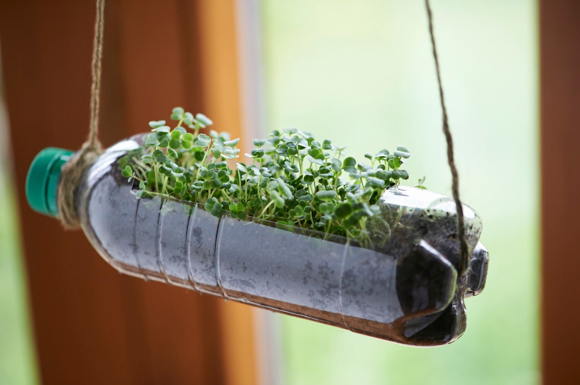 From byproduct to beauty: Advancements in sustainable ingredients and transparent sourcing