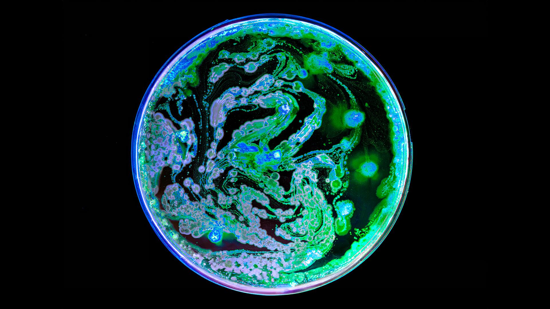 L'Oréal tri-partnership for “new generation of bio-based ingredients” 