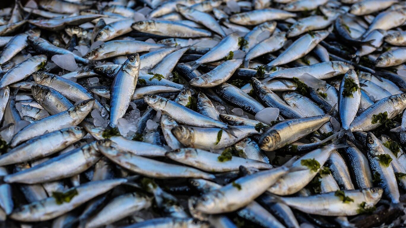 Monster ‘Iguana’ machine turns fish skins into collagen for luxury skin care