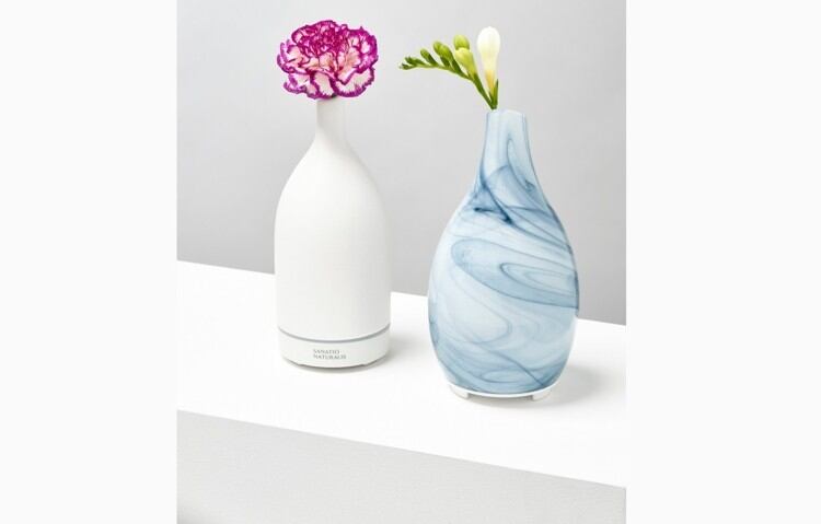 Air-diffusers-making-skin-care-claims-Sanatio-Naturalis-launch_wrbm_large.jpg