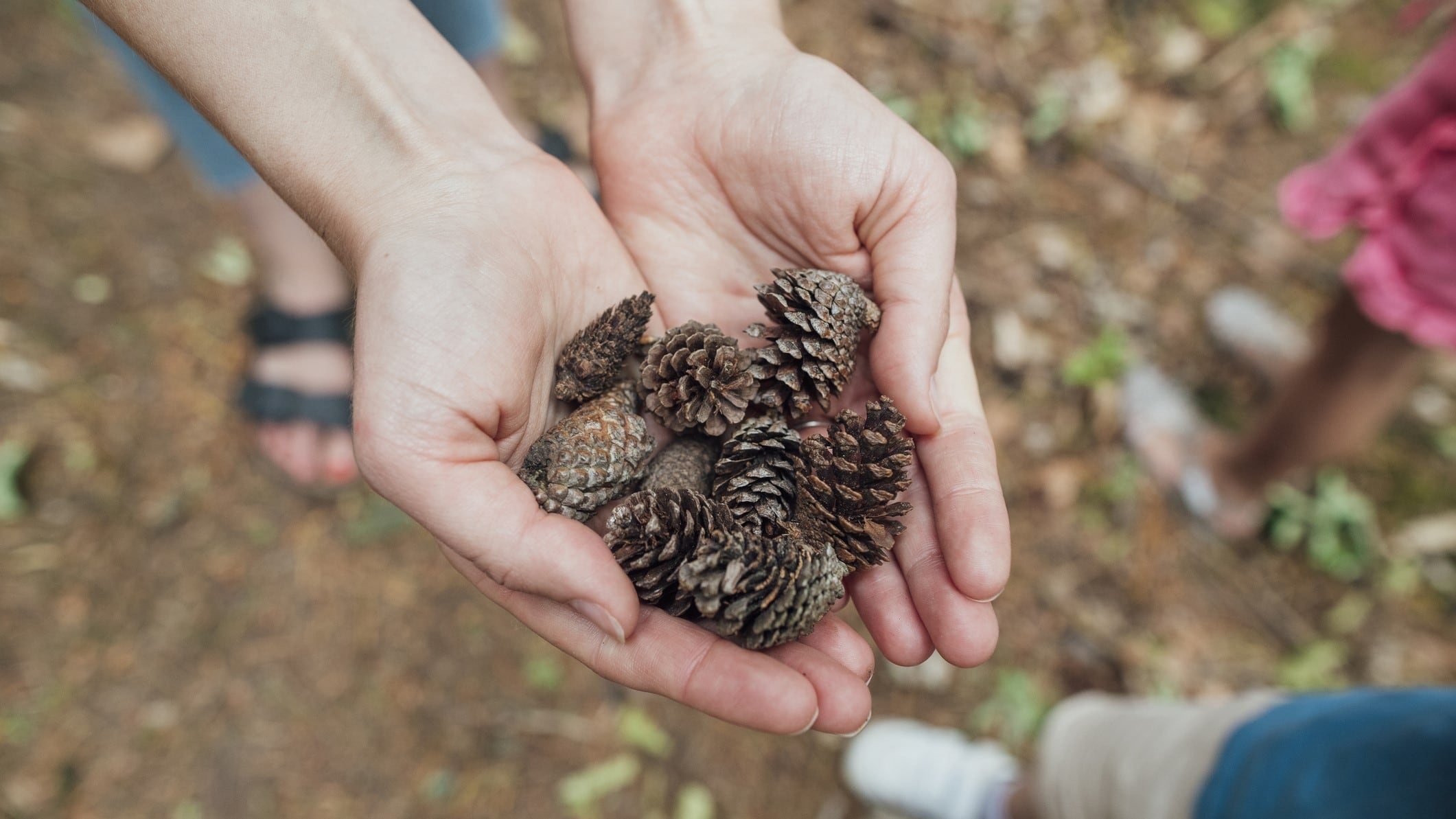 Nature has the answer: APAC will look to bio-inspired hair care as it trends towards naturals