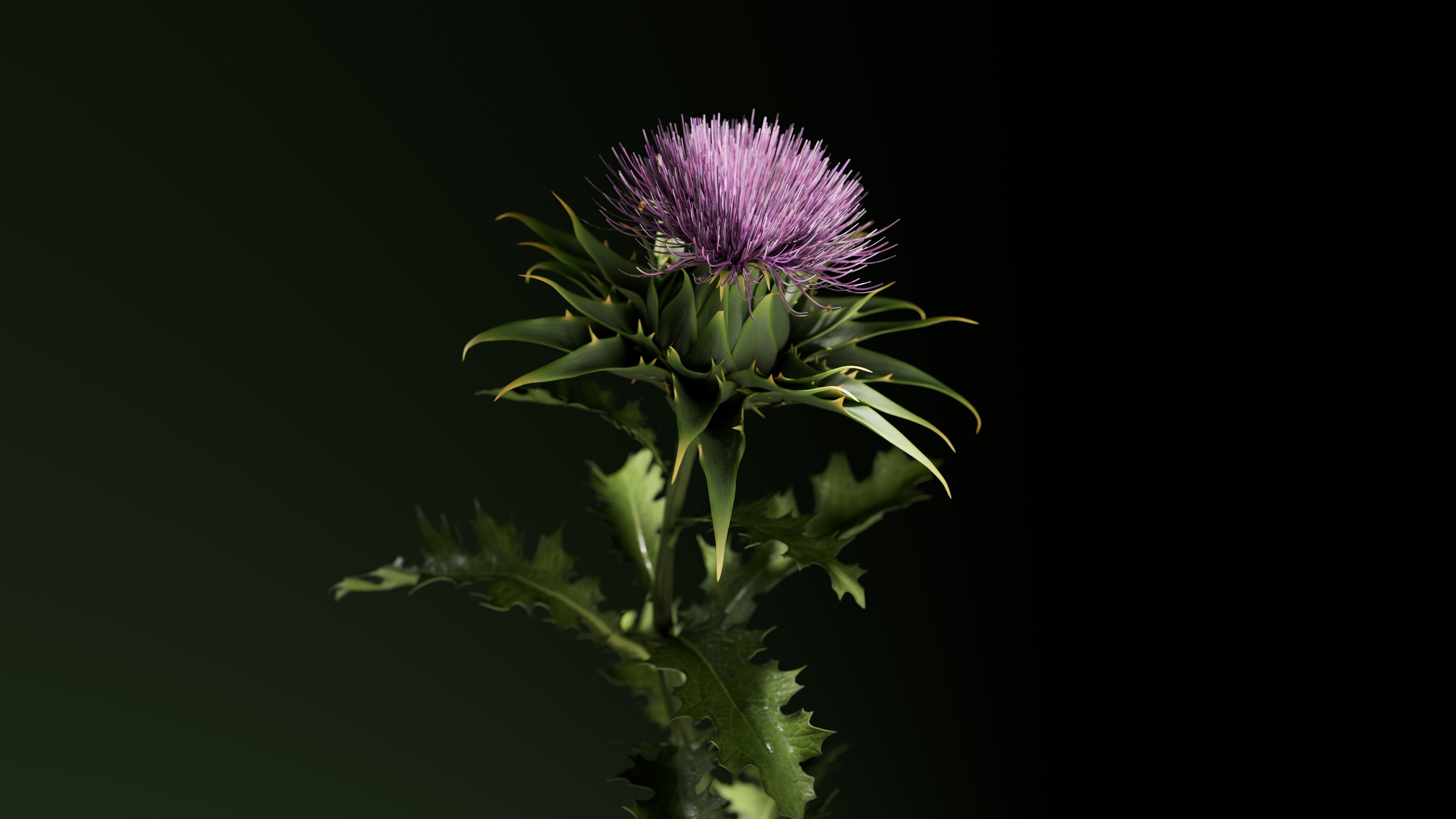 NatureLab Tokyo - milk thistle seed extract