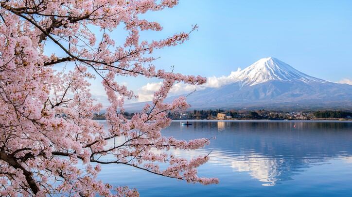 Japan focus: Our top stories featuring Japan’s cosmetics industry