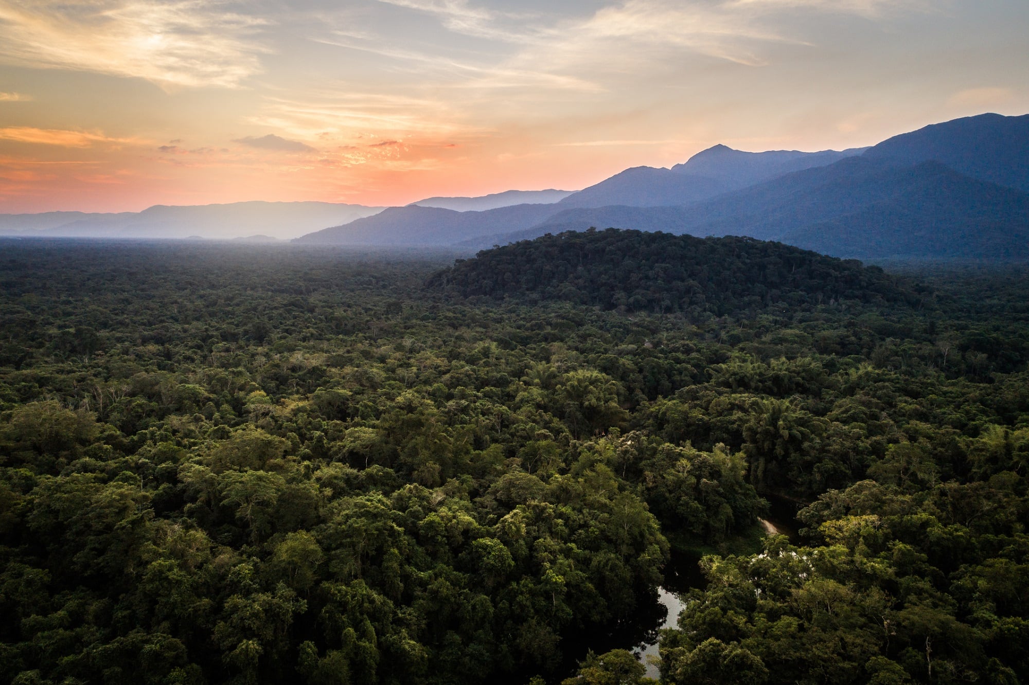 Green Amazon expedition explores 'veritable treasure trove for discovering new biological actives' 