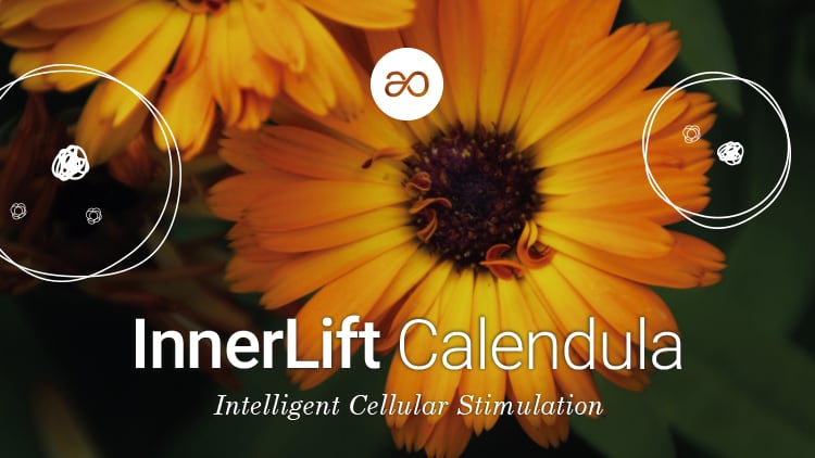 Calendula-Cellular-Elixir-Alchemy-in-a-cell.jpg