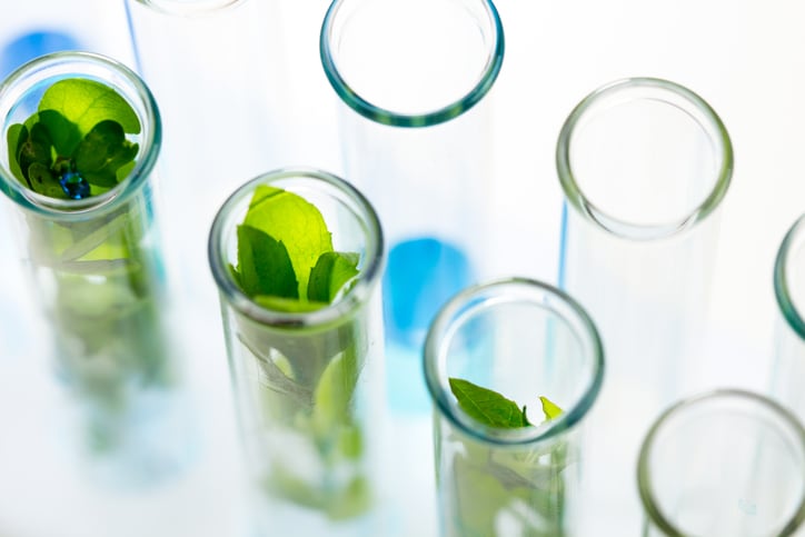 Potential herbal discoveries: POLA Chemicals signs deal with Yunnan Baiyao to develop TCM cosmetic ingredients