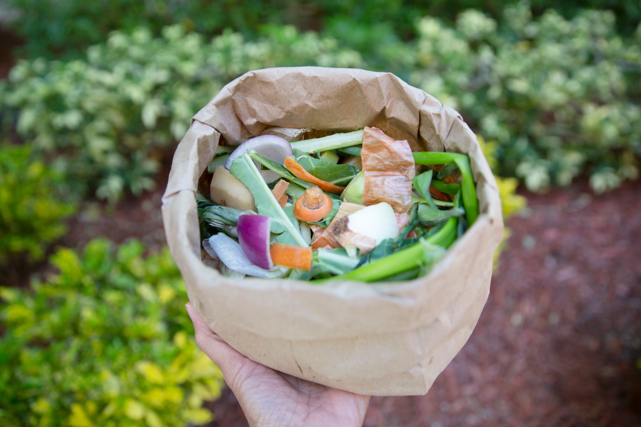 From food waste to fine fragrance: How upcycled ingredients meet consumer demands for sustainability and naturality
