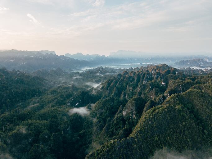 Beiersdorf-Evonik-and-WWF-extend-commitment-on-sustainable-palm-oil-in-Indonesia.jpg