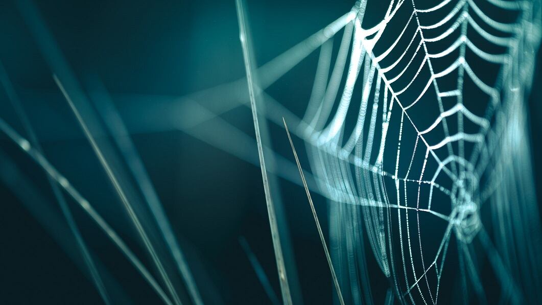 Venoms and toxins: Nexgen Biotech sees huge cosmetics potential for synthetic spider venom and botox alternative