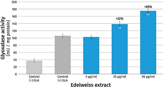 Online_article_image_03_ALPAFLOR-EDELWEISS_600x300p.jpg