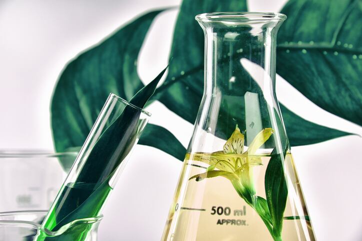 Fragrance-scent-perfume.jpg