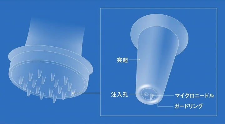 Shiseido Microneedle Design blueprint