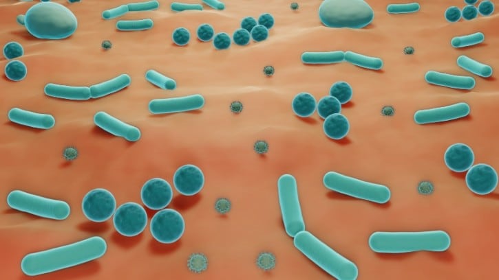 Cosmax and Harvard team up to explore link between lifestyle, skin disorders, skin microbiome for personalised solutions
