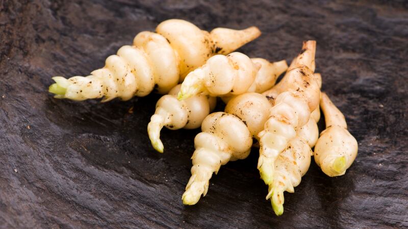 Chinese artichoke fermented with lion’s mane mushroom mycelia can inhibit melanin synthesis and tyrosinase activity – Korea study 