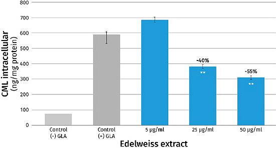 Online_article_image_02_ALPAFLOR-EDELWEISS_600x300p.jpg