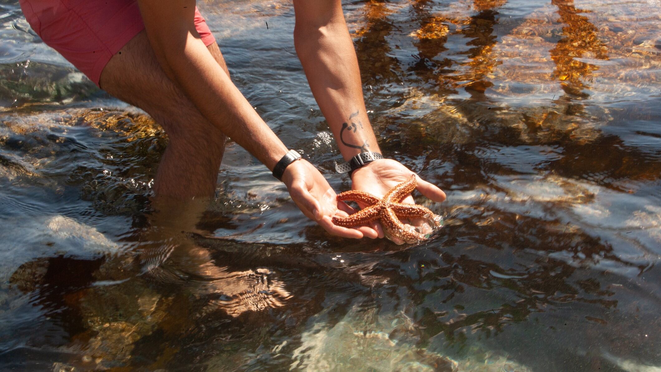 Starfish synergy: NZ upcycled skin care project sees commercialisation opportunity fuelled by Asia demand