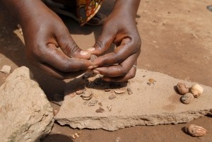 Shea butter is widely used in cosmetics and would benefit from the FairWild certification, says King (Getty Images)